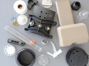 Mold Building Services